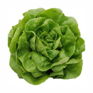 7 ROQUETT/ARUGULA 1KG
